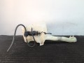 бачок омывателя Opel Vectra B 1998, 1.8 л., бензин, МКПП, универсал, передний привод, FT0023935 - фото №9