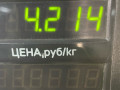 суппорт передний левый Citroen Xsara 1 поколение 2000, 1.6 л., NFZ (TU5JP), бензин, АКПП, синий, хетчбэк 5 дв., передний привод - фото №2