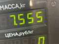 стойка задняя Toyota Carina E 1 поколение T190 1997, 1.8 л., бензин, МКПП, хетчбэк 5 дв., передний привод, 7A-FE - фото №5