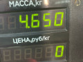 диск тормозной передний Opel Astra F [рестайлинг] 1997, 1.6 л., X 16 XEL, бензин, МКПП, белый, универсал, передний привод - фото №3