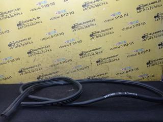 уплотнитель двери Ford Focus 2 поколение 2006, 1.6 л., HWDA, бензин, МКПП, красный, хетчбэк 5 дв., передний привод