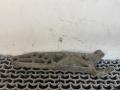 кронштейн КПП Opel Astra G 2000, 1.8 л., X 18 XE1, бензин, МКПП, передний привод, 90495450 - фото №4