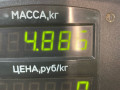 суппорт передний левый Honda Accord 5 поколение 1995, 2.0 л., дизель, МКПП, серебристый, седан, передний привод - фото №2