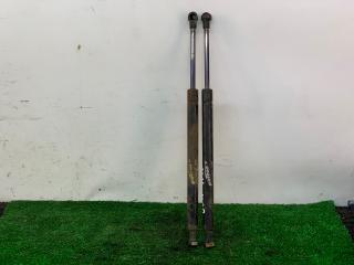 амортизатор капота Nissan Murano Z50 2005, 3.5 л., бензин, АКПП, черный, внедорожник 5 дв., полный привод