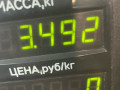 диск тормозной передний Fiat Palio 1 поколение 1998, 1.2 л., i, бензин, МКПП, универсал, передний привод, 188A4000 - фото №4