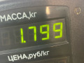 амортизатор задний левый Dacia Sandero 1 поколение 2008, 1.4 л., K7J 714, бензин, МКПП, серый, хетчбэк 5 дв., передний привод - фото №3