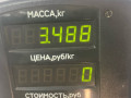 пружина задняя Mitsubishi Lancer 7 поколение 1996, 2.0 л., дизель, МКПП, белый, универсал, передний привод - фото №2