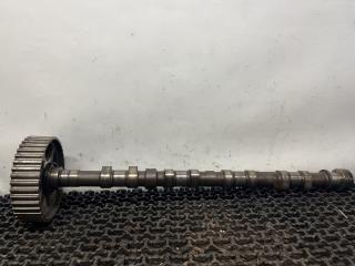 распредвал Dodge Caravan 3 поколение (1995 - 2000), 2.4 л., EDZ, бензин, АКПП, 159532