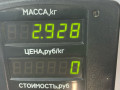 амортизатор задний Mercedes-Benz S-Класс W140/C140 [рестайлинг] W140 1994, 3.5 л., дизель, АКПП, фиолетовый, седан, задний привод - фото №4