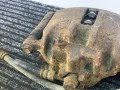 суппорт передний левый Rover 400 Series 2 поколение 1998, 1.6 л., бензин, МКПП, бордовый, седан, передний привод - фото №2