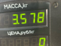 суппорт передний левый Opel Astra G 1998, 1.6 л., X 16 XEL, бензин, МКПП, зеленый, универсал - фото №4