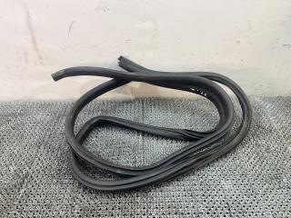 уплотнитель двери Hyundai Terracan 1 поколение 2003, 2.5 л., D4BH, дизель, АКПП, серебристый, внедорожник 5 дв., полный подключаемый привод