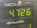диск тормозной передний Rover 400 Series 2 поколение 1998, 1.6 л., бензин, МКПП, зеленый, хетчбэк 5 дв. - фото №5