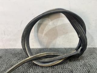 уплотнитель двери Ford Focus 1 поколение (1998 - 2001), дизель, МКПП, белый, универсал, передний привод