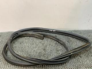 уплотнитель двери Citroen Xsara Picasso 1 поколение 2002, 2.0 л., бензин, МКПП, серый, передний привод