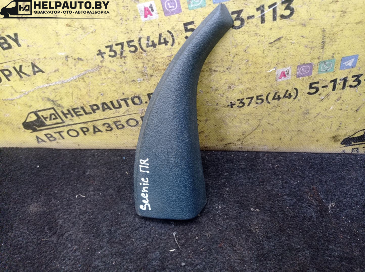 заглушка зеркала Renault Scenic 1 поколение 1998, 1.9 л., F9Q 716, дизель, МКПП, синий, минивэн, передний привод - фото №1