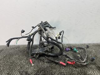 проводка двигателя Ford Fusion 1 поколение [рестайлинг] 2009, 1.4 л., FXJA, бензин, 5МКПП, серебристый, хетчбэк 5 дв., передний привод, 256T-14A390-BC