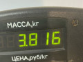 диск тормозной передний Ford Courier 1994, 1.8 л., TD, дизель, МКПП, передний привод - фото №4