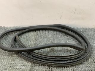 уплотнитель двери Renault Scenic 1 поколение 1997, 1.9 л., F8Q 786, дизель, МКПП, серый, передний привод