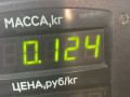 защита (кожух) ремня ГРМ Kia Sportage 1 поколение 2001, 2.0 л., FE (16V), бензин, 5МКПП, зеленый, внедорожник 5 дв. - фото №3