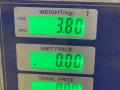 руль Nissan Primera P11 1998, 2.0 л., SR20DE, бензин, 5МКПП, серебристый, седан, передний привод - фото №6