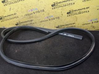 уплотнитель двери Ford Focus 2 поколение 2006, 1.6 л., HWDA, бензин, МКПП, красный, хетчбэк 5 дв., передний привод