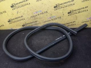 уплотнитель двери Ford Focus 2 поколение 2006, 1.6 л., HWDA, бензин, МКПП, красный, хетчбэк 5 дв., передний привод