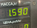 пружина задняя Fiat Bravo 1 поколение 1997, 1.4 л., бензин, синий, хетчбэк 3 дв., передний привод - фото №3
