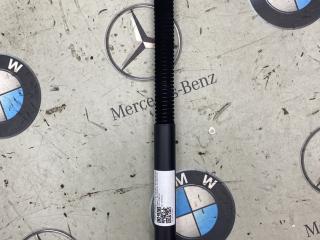 амортизатор крышки багажника (3-5 двери) BMW X4 G02 [рестайлинг] 2023, a300, 7497482