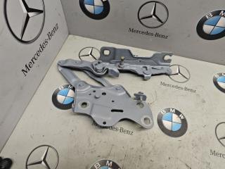 петля капота левая BMW X5 G05 [рестайлинг] 2023, 3.0 л., бензин, c4p, полный привод, 7418201
