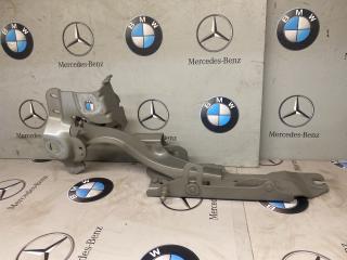 петля капота левая BMW 2 серия Active Tourer F45 2015, 2.0 л., бензин, 7300521