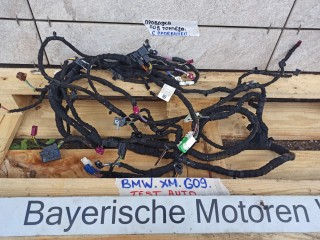 проводка BMW XM G09 2023, 4.4 л., бензин, электро, c5y, 5A6A821, 91685801