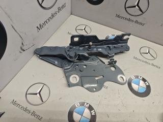 петля капота левая BMW XM G09 2023, 4.4 л., бензин, c5y, полный привод, 7418201