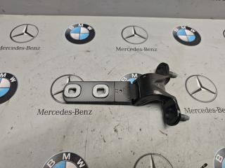 петля крышки багажника BMW X5 G05 [рестайлинг] 2025, 3.0 л., бензин, 7417413