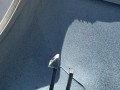 накладка на зеркало BMW 2 серия Active Tourer F45 2014, 1.5 л., B38 A15 A, бензин, 7372132 - фото №5