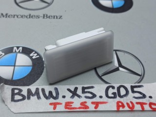 фонарь салона (плафон) BMW X5 G05 [рестайлинг] 2023, 4.4 л., S68B44A, бензин, a96, 5A42419