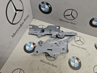 петля капота правая BMW X5 G05 [рестайлинг] 2023, 3.0 л., бензин, c4p, полный привод, 7418202