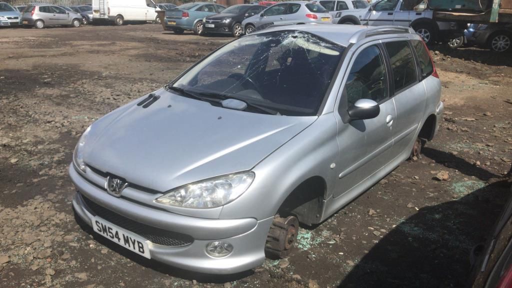 Peugeot 206 рест. 2004 - фото №1