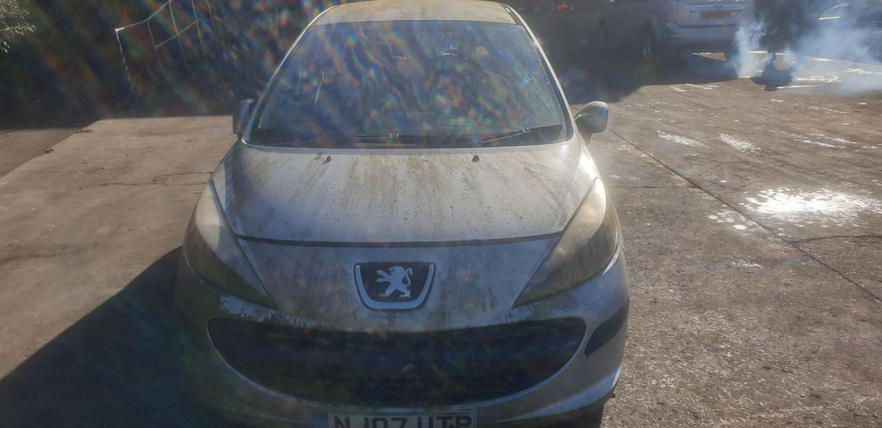 Peugeot 207 2007 - фото №1