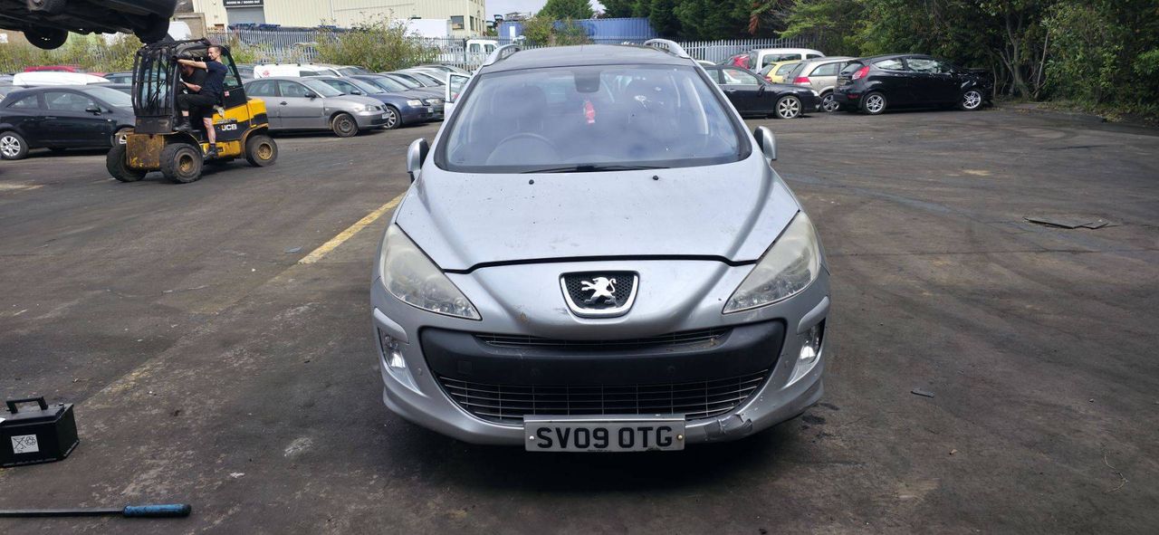 Peugeot 308 T7 2009 - фото №1