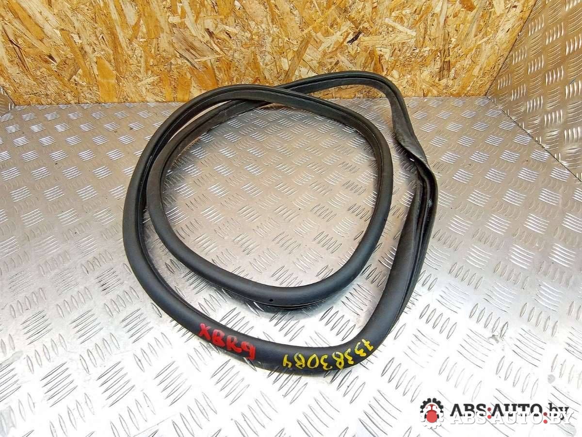 уплотнитель двери Mercedes-Benz B-Класс W245 2008, 2.0 л., OM 640.941, дизель, АКПП, A1696920476 - фото №1