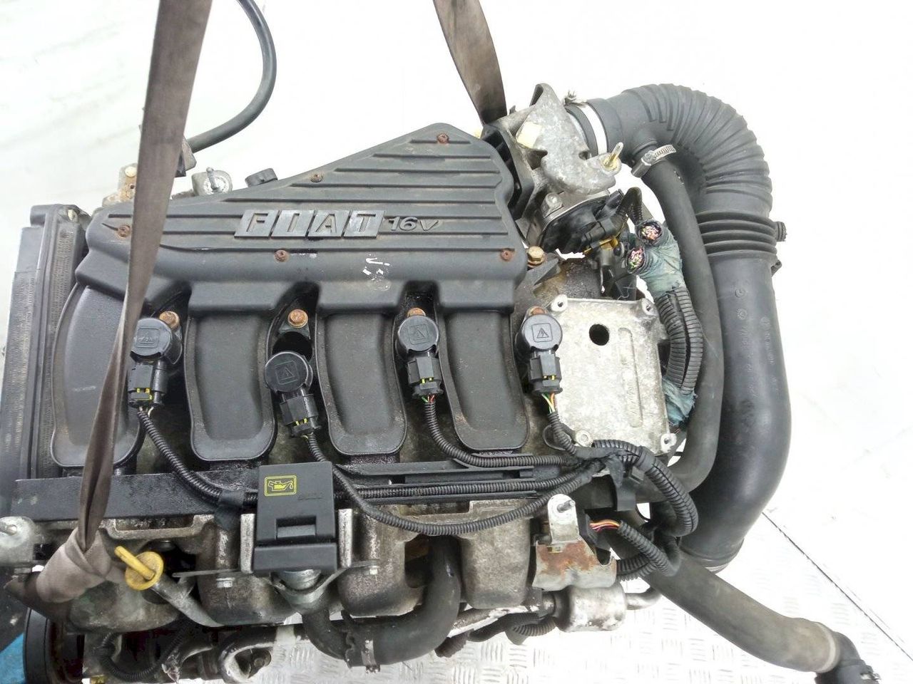 двигатель Fiat Stilo 1 поколение [рестайлинг] 2006, 1.6 л., i, бензин, BH