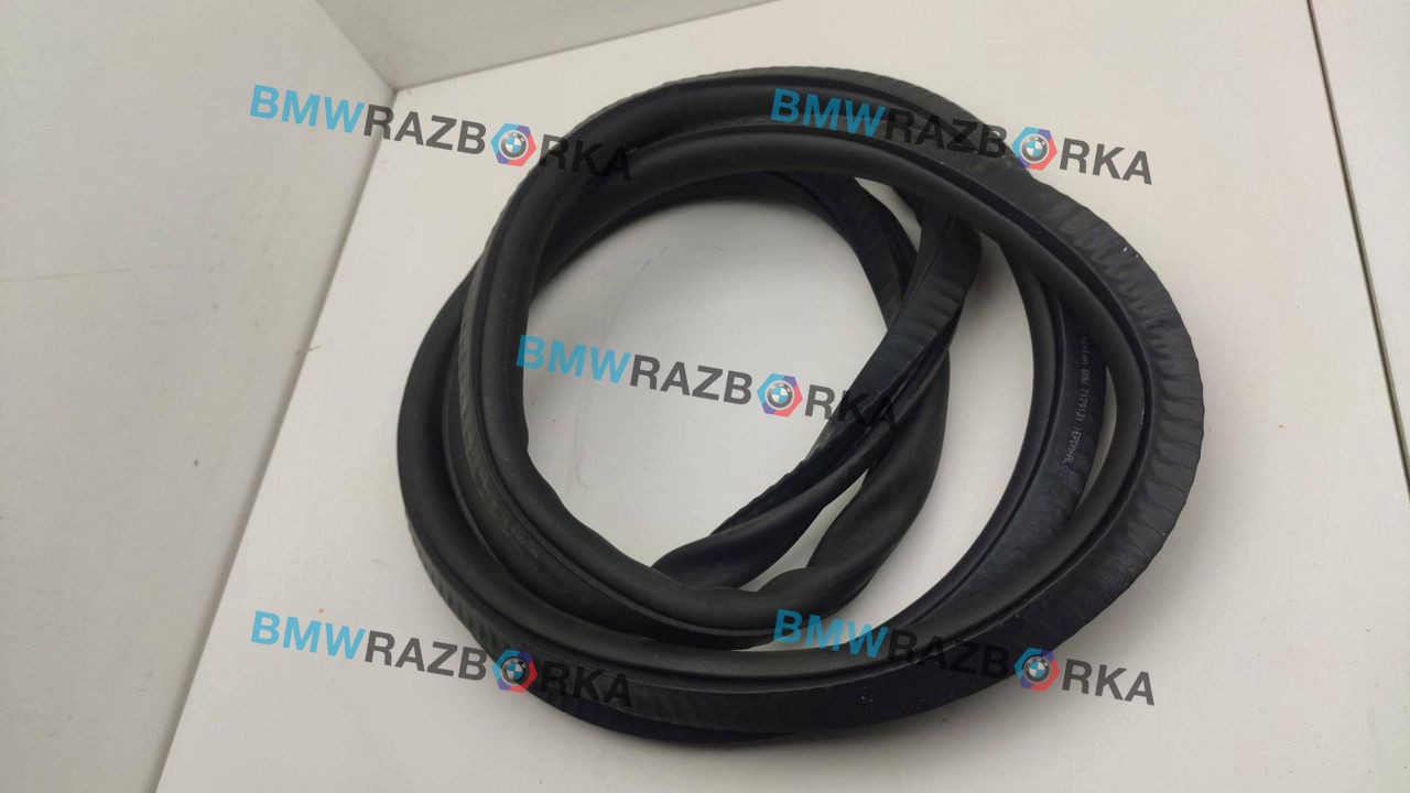 уплотнитель двери BMW 7 серия F01/F02 2011, 3.0 л., N57 D30 A, дизель, АКПП, седан