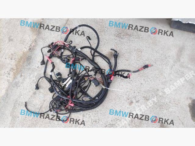 проводка двигателя BMW X5 E70 [рестайлинг] 2010, 3.0 л., АКПП, внедорожник 5 дв., полный привод