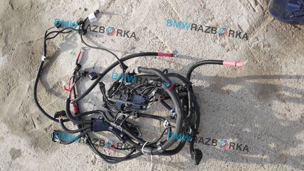 проводка двигателя BMW X3 F25 2012, 3.0 л., бензин, АКПП, внедорожник 5 дв.
