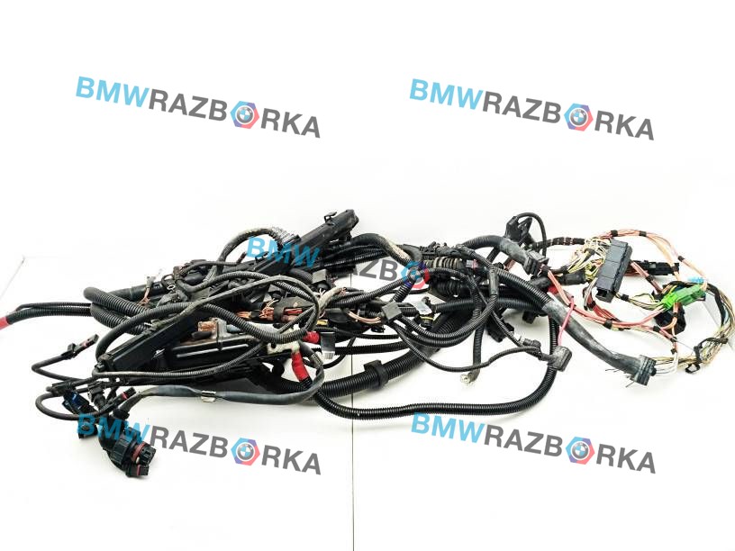 проводка двигателя BMW X3 E83 2006, 3.0 л., N52 B30 A, бензин, внедорожник 5 дв.
