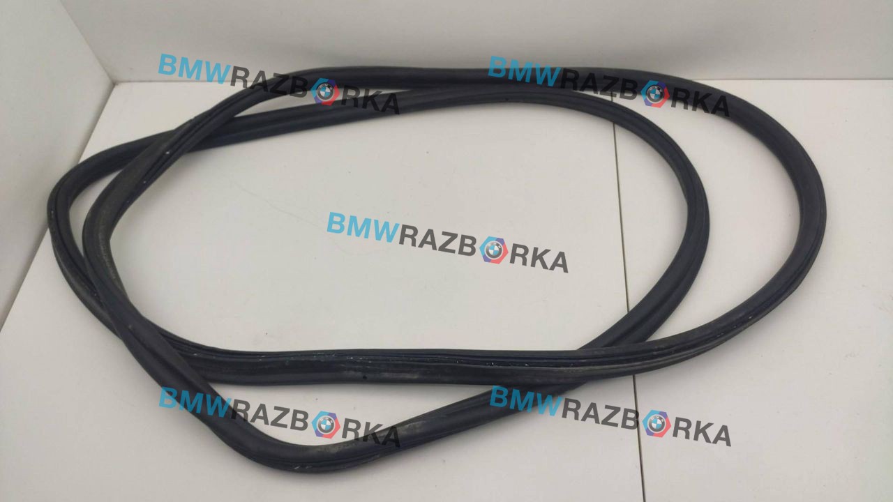 уплотнитель BMW 5 серия F07/F10/F11 F10 2011, 3.0 л., i, N52N B30 A, бензин, АКПП, седан, задний привод