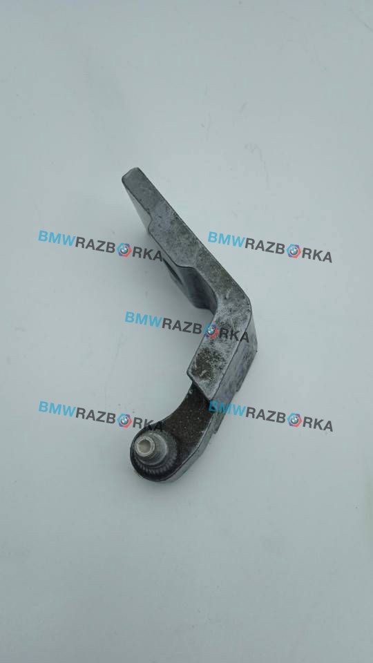 петля двери BMW X6 E71/E72 2009, 3.0 л., N54 B30 A, бензин, АКПП, внедорожник 5 дв., 7160825