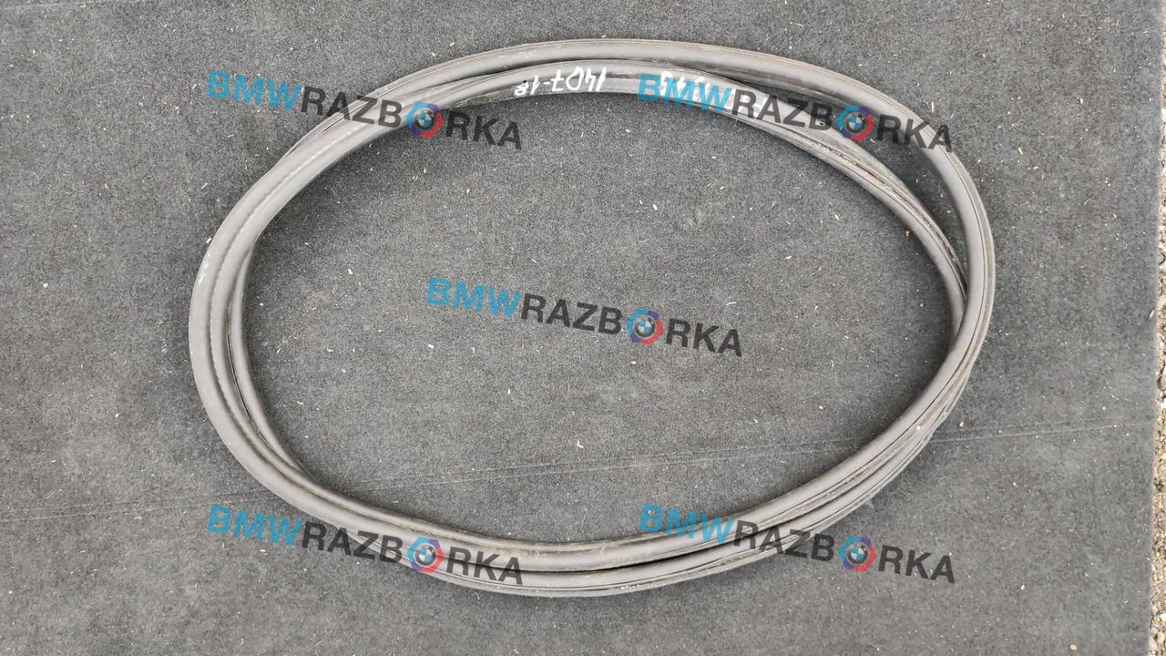 уплотнитель BMW 5 серия F07/F10/F11 2011, 3.0 л., i, N55 B30 A, бензин, АКПП, седан, полный привод, 7204298