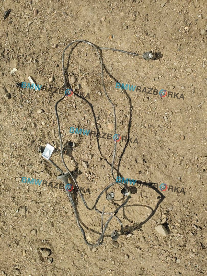 проводка датчиков парковки BMW X5 E53 2002, АКПП, внедорожник 5 дв., 6906347